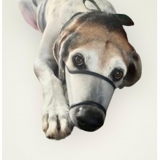 Focinheira Cães NÚMERO - 0 